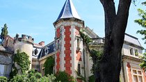 Châteauneuf Du Pape intensive vineyard & fine wine experience