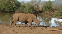 Day Tour: Arusha National Park