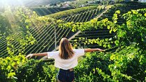 Prosecco hills wine tasting tour