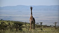 3 Days Wilderness Wanderlust Tanzania Adventure