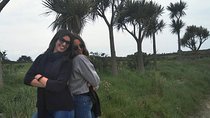 Howth Guided Walking Tour Dublin Coastal Experience 