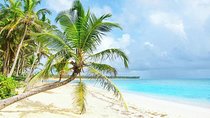 Dreams Macao Beach - Transfer from Punta Cana Airport