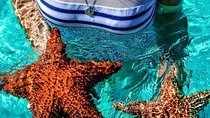 Uvero Alto Hotels - Private Round Trip from Punta Cana Airport