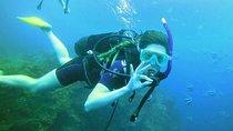 Exploration dives