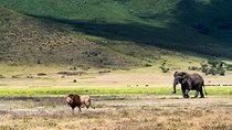 5 days lodge safaris