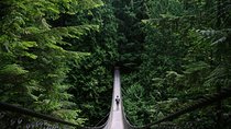 Mountain Adventure (Grouse Mountain and Capilano Suspension Bridge)