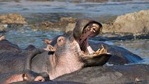 13 days/ 12 days Private group safari.