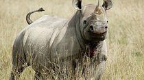  7 Days / 6 Nights Join group Safari