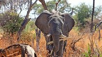 2 Days / 1 Night Join group safari