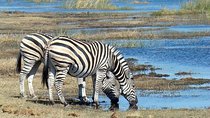 Day trip Arusha National Park Tour Tanzania Safari 