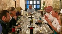 Barcelona Fun Wine Tasting with a Sommelier