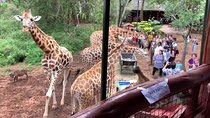 9.a.m Pick Up To Elephant Orphanage/giraffe Centre/karen Blixen/bomas Of Kenya