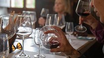 From Florence to Chianti Rufina: Wine Tasting Experience