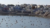 Unforgettable 11 Day Guided Golden Triangle Tour From Bangalore