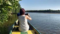 Mangrove Corralito