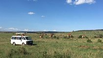 3 days Masai Mara 