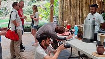 Coffee tour and thermal waters