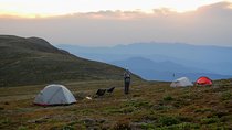 7 days Australian Camp Trek (Kids-Friendly)