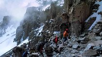 Tanzania Mount Kilimanjaro climbing, 8 Days Northern Circuit Route.
