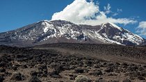 Premium Trek,Lemosho Route 8 Days to mount Kilimanjaro.