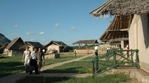 Maasai Mara camping road safari ONE night Best Budget ALL INCLUSIVE 