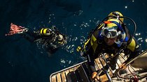 Scuba Diving Courses or Try Diving PADI or SSI