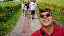 Bali Tour Customized with Private Tour Driver