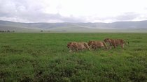 Tanzania Safari - 7 Days Cultural Safari.