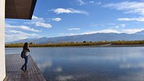Uco Valley Wine Tour