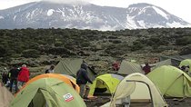 Mount Kilimanjaro climbing,7 days Lemosho Route.