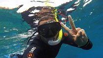 Private 7 Days 6 Nights Holiday Package To Cairo & Sharm El Sheikh