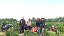 Best Hanoi Motorbike Tour: Local Guide, City Center & Countryside