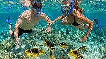 Pink Beach Lombok Snorkeling Tour