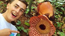 Rafflesia Trek Seekers at Perak (from KL)