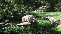 Cebu Safari and Adventure Park 
