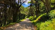 E-Bike Self-Guided Sintra - Cascais (Private Tour from Lisbon)