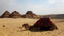 Daily tours , pre arranged vacations ,Nile cruise,Safari ,pyramids and much more