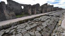 Pompeii Guided Tour & Wine tasting + Easy lunch
