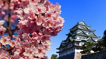 Nagoya One Day Tour with a Local: 100% Personalized & Private