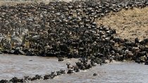 Private 9 Days Kenya Classic Lodge Safari