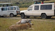 Things To Do Nairobi: Nairobi National Park &Giraffe Centre/lunch/bomas Of Kenya