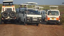  Nairobi National Park 1.p.m Game Drive