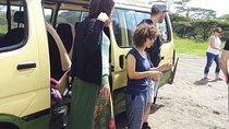 Nakuru National Park & Lake Naivasha Day Tour