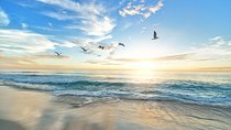 Cruise Ship Shore Excursion - Private Great Ocean Road Express Tour (9 Hour)