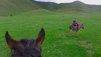 Horse back riding in mountains 