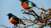 Tanzania Safaris | 1 Day Safaris - Arusha National Park.