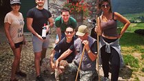 Truffle Hunting with Wine Tasting