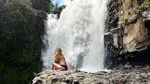 Ubud City Tour I: Monkey Forest, Ubud Palace, Art Market, and Waterfall
