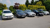Private transfer from Trieste to Ljubljana