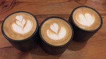 San Jose City Tour & Costa Rican Specialty Coffee Workshop